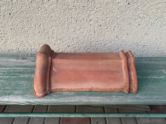 Hřebenáč hranice - 3