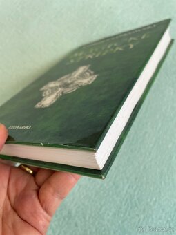 Magické střípky Andrzej Sapkowski - 3
