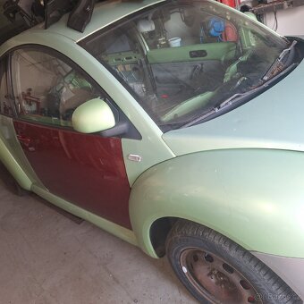 New beetle - 3