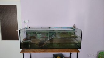 Želvárium/akvárium - 3
