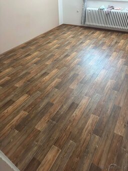 Linoleum - 3