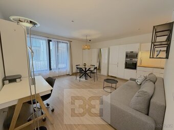 Pronájem bytu 1+kk, 40 m2 - Praha - Žižkov, ev.č. N08054 - 3