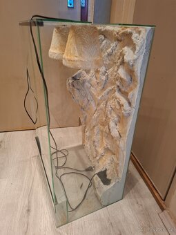 Terarium - 3