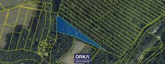 Prodej lesy, 6 823 m2 - Bělkovice-Lašťany - 3