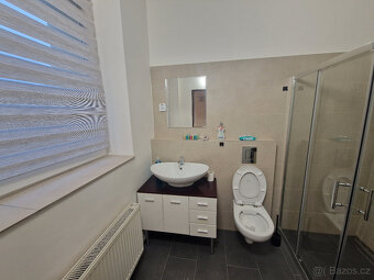 Pronájem bytu 1+KK v areálu PKNM – 35 m² - 3