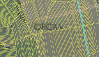 Záhorovice 2531 m2 - 3