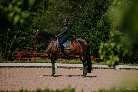 Equestrian Stockholm Forest Green VS a PVS - 3