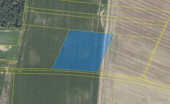 Prodej polí a luk – 5 289 m² - kú Břežany II - 3