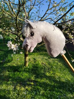 Hobby horse - 3