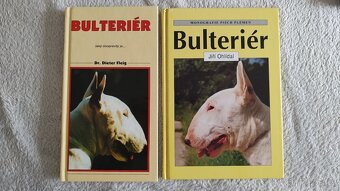 Bulteriér - 3