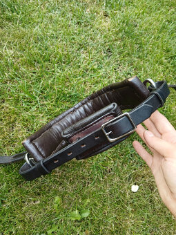 Prodám lonžovací obnosek COB - 3