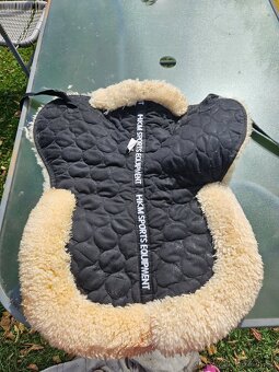 Beránek pod sedlo pony - 3