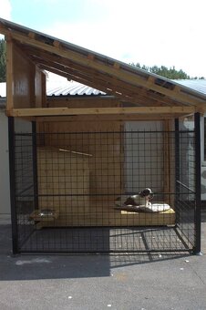 Prodám materiál na psí výběh s boudou. - 3