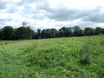 Stavební pozemek 13 700 m² u Hranic na Moravě - 3