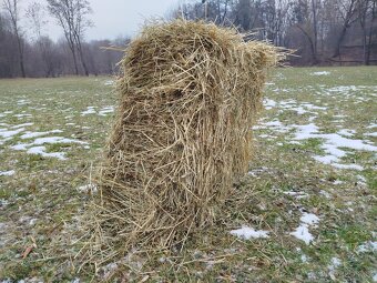 Seno - hranaté balíky - 3