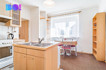 Prodej dvougeneračního rodinného domu, 1 178 m², Starý Bohum - 3