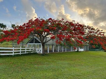 Manažér zooparku (Dominikánska republika) - 3