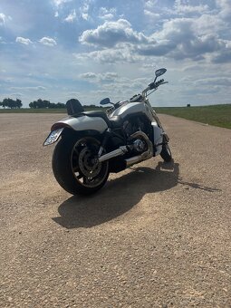 Harley Davidson v-rod muscle - 3