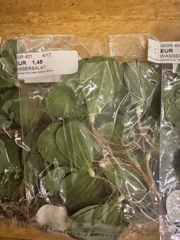 Dekorační plovoucí listy / květy – umělé - 3