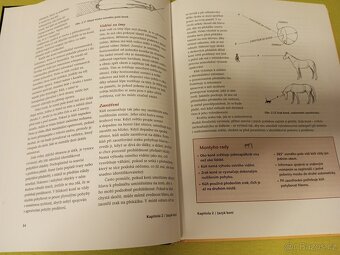 Monty Roberts - Průvodce nenásilným výcvikem koní - 3