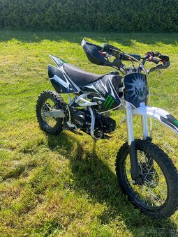 Pitbike Thunder 125cc - 3