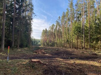 Lesní pozemek Újezdec u Kardašovy Řečice - 3