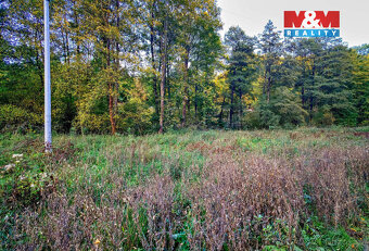 Prodej louky, 2421 m², Biskupice - 3