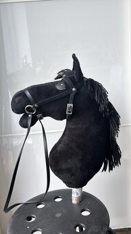 hobby horse - 3