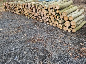 Prodám palivové dřevo tvrdé nebo  štípané - 3