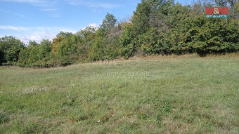 Prodej louky, 13227 m², Jenčice - 3