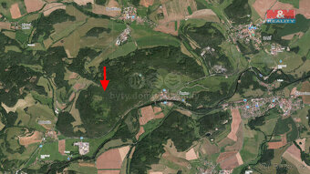Prodej lesa, 8758 m², Čepice - 3
