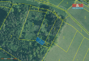 Prodej lesa, 3555 m², Kváskovice - 3