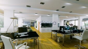 Pronájem kanceláře 322 m² Šaldova, Praha 8 - Karlín - 3