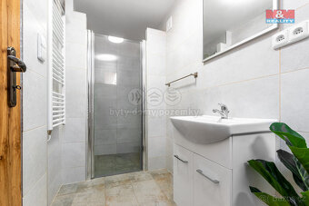 Prodej chaty, 37 m², Běstvina - Pařížov - 3