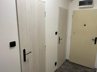 Pronájem 1+ 1 Třinec - Terasa - 3