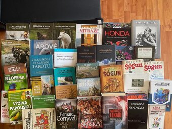 Sněhurka v hadřících, Gemmoterapie,Vlci,Šógun,Psychologie - 3