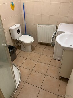 Pronájem bytu 1+kk, Uničov - 3