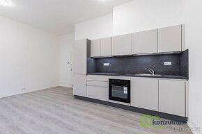 Pronájem byty 1+kk, 25 m2 - Brno - Veveří, ev.č. 00464 - 3