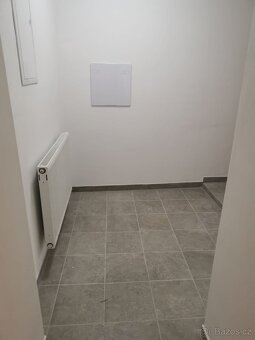 Pronájem bytu 3+KK - 3