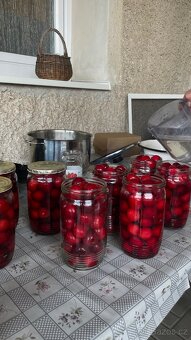 Třešně - 3