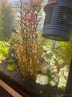 Akvárium včetně skříňky a filtru - 3