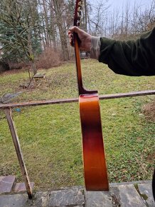 12 strunná kytara - 3