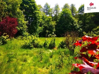 Prodej chaty 40 m2, Radešín - 3