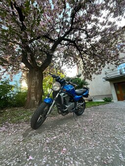 Kawasaki ER 5 - 3