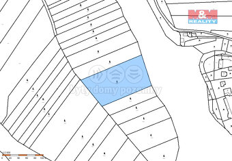 Prodej lesa, 11302 m², Borovany - 3