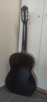 Kytara s kufrem - 3