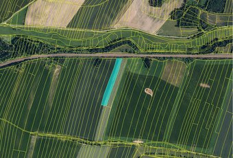 Prodej pole nedaleko Brna – 6 612 m² - kú Křižínkov - 3