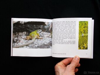 Kéž bych pod hvězdami dobře odtančil svůj tanec - 3