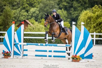 Všestranná klisna - 3