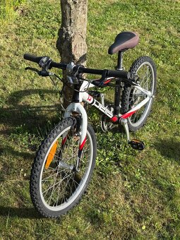 Kolo Pells Razzer 20” - 3
